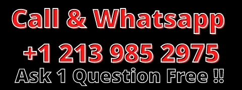 Ask 1 question free to USA Astrologer