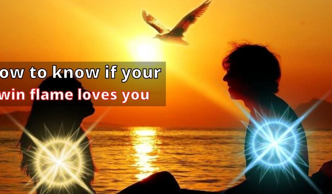 How to Know if your twin flame loves you – Astrology Support