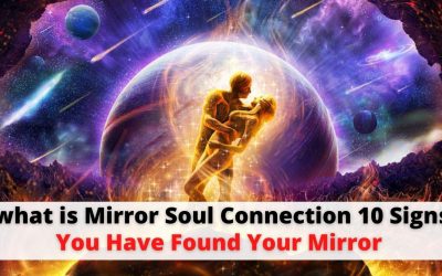 what is Mirror Soul Connection 10 Signs You Have Found Your Mirror – Astrology Support