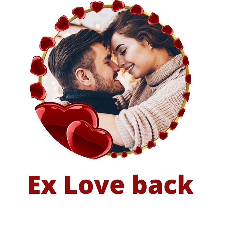 ex love back