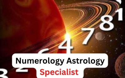 Numerology Astrology Specialist Pt. Kapil Sharma – Astrology Support