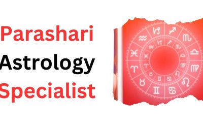 Parashari Astrology Specialist – Astrology Support