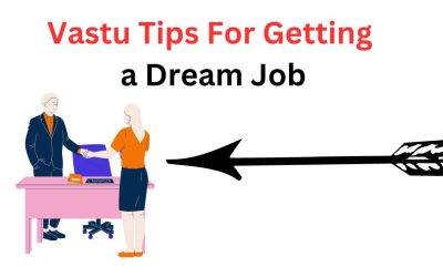 Vastu Tips For Getting a Dream Job – Astrology Support