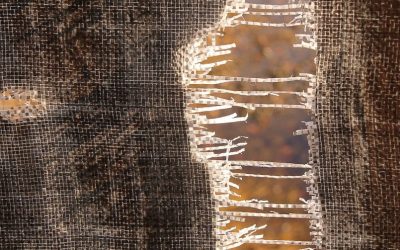 Divorce Problem Solution Specialist Astrologer – Astrology Support