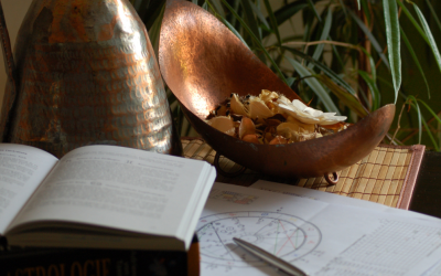 Best Astrologer Online Free – Astrology Support